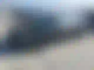 Vehicle Image- 2025 Honda Civic