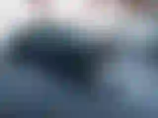 Vehicle Image- 2023 Honda Civic