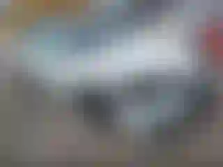 Vehicle Image- 2024 Honda Civic