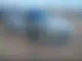 Vehicle Image- 2024 Honda Civic