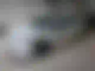 Vehicle Image- 2025 Honda Civic
