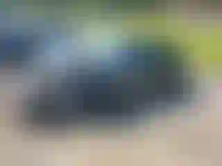 Vehicle Image- 2025 Honda Civic