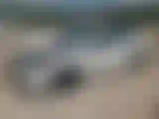Vehicle Image- 2025 Honda Civic