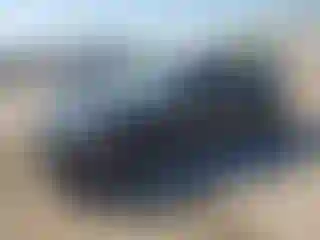 Vehicle Image- 2025 Honda Civic