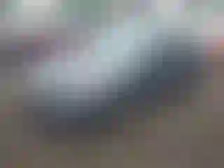Vehicle Image- 2025 Honda Civic