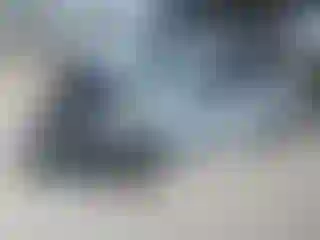 Vehicle Image- 2023 Honda Civic