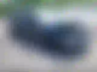 Vehicle Image- 2022 Honda Civic