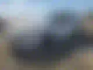Vehicle Image- 2022 Honda Civic