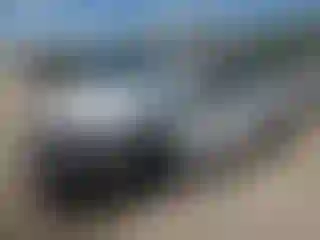 Vehicle Image- 2025 Honda Civic