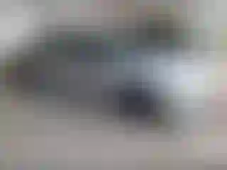 Vehicle Image- 2023 Honda Civic