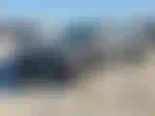 Vehicle Image- 2024 Honda Civic