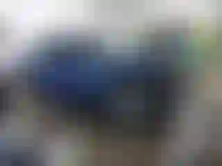Vehicle Image- 2022 Honda Civic
