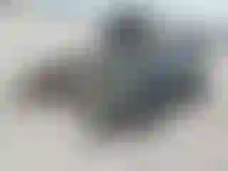 Vehicle Image- 2025 Honda Civic