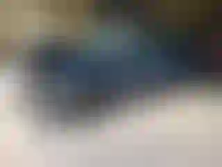 Vehicle Image- 2025 Honda Civic