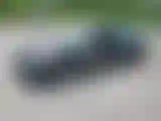 Vehicle Image- 2025 Honda Civic