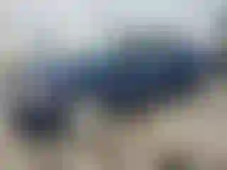 Vehicle Image- 2006 Honda Civic