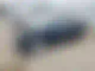 Vehicle Image- 2007 Honda Civic
