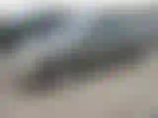 Vehicle Image- 2007 Honda Civic