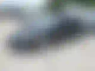 Vehicle Image- 2007 Honda Civic