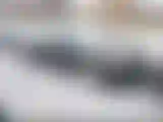 Vehicle Image- 2007 Honda Civic