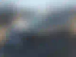 Vehicle Image- 2008 Honda Civic