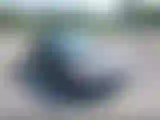 Vehicle Image- 2008 Honda Civic