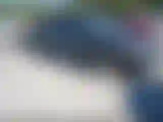 Vehicle Image- 2008 Honda Civic