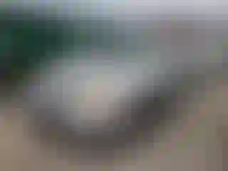 Vehicle Image- 2008 Honda Civic