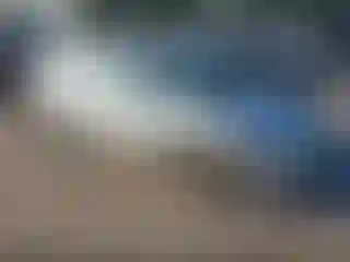 Vehicle Image- 2006 Honda Civic