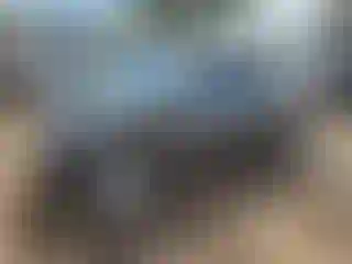 Vehicle Image- 2009 Honda Civic