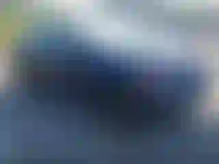 Vehicle Image- 2008 Honda Civic