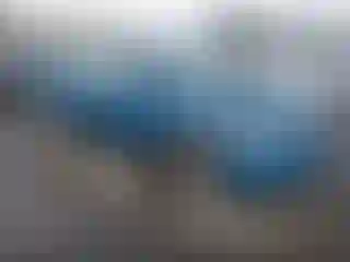 Vehicle Image- 2006 Honda Civic