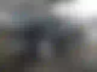 Vehicle Image- 2009 Honda Civic