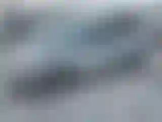 Vehicle Image- 2008 Honda Civic