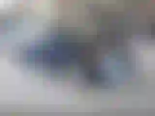 Vehicle Image- 2008 Honda Civic