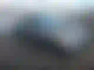 Vehicle Image- 2007 Honda Civic