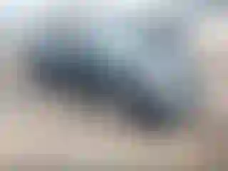 Vehicle Image- 2006 Honda Civic
