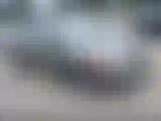 Vehicle Image- 2007 Honda Civic