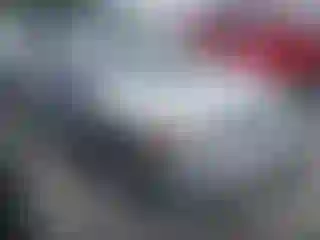 Vehicle Image- 2008 Honda Civic