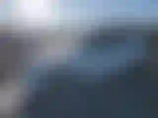Vehicle Image- 2006 Honda Civic
