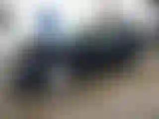 Vehicle Image- 2006 Honda Civic