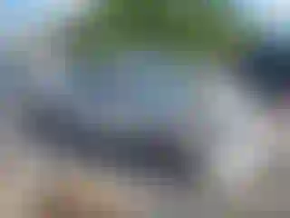 Vehicle Image- 2007 Honda Civic