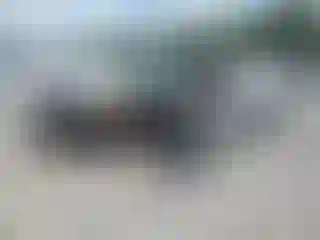 Vehicle Image- 2008 Honda Civic
