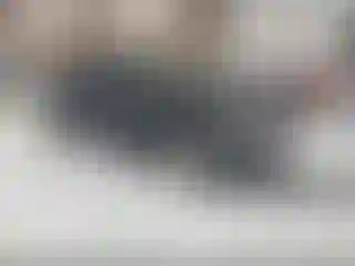 Vehicle Image- 2007 Honda Civic