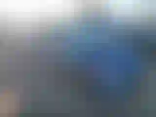 Vehicle Image- 2007 Honda Civic