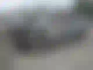 Vehicle Image- 2008 Honda Civic