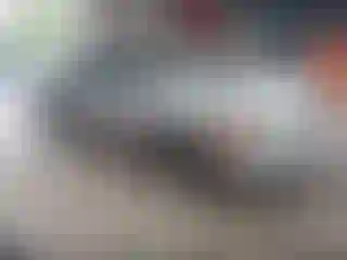 Vehicle Image- 2007 Honda Civic