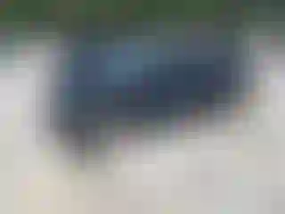 Vehicle Image- 2007 Honda Civic