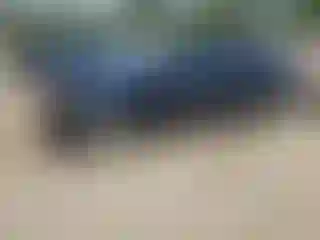 Vehicle Image- 2008 Honda Civic