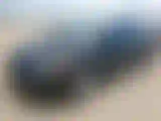Vehicle Image- 2006 Honda Civic